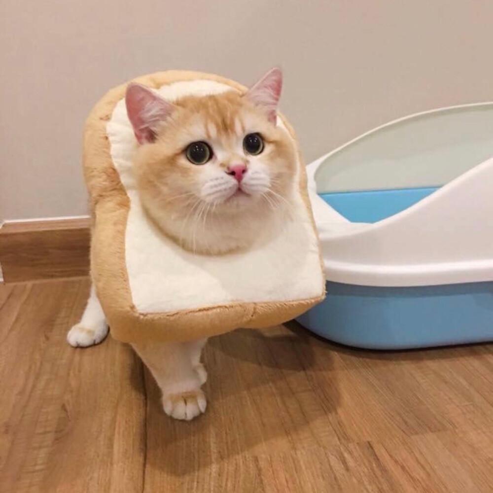 社区大食堂